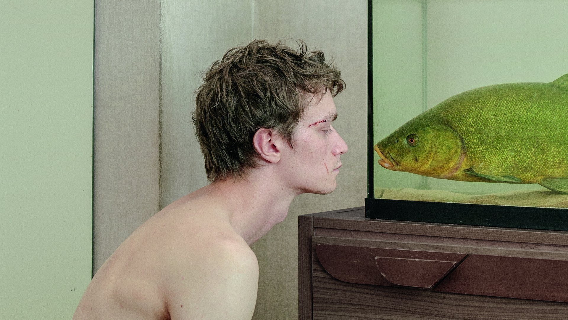 Tench (2020)