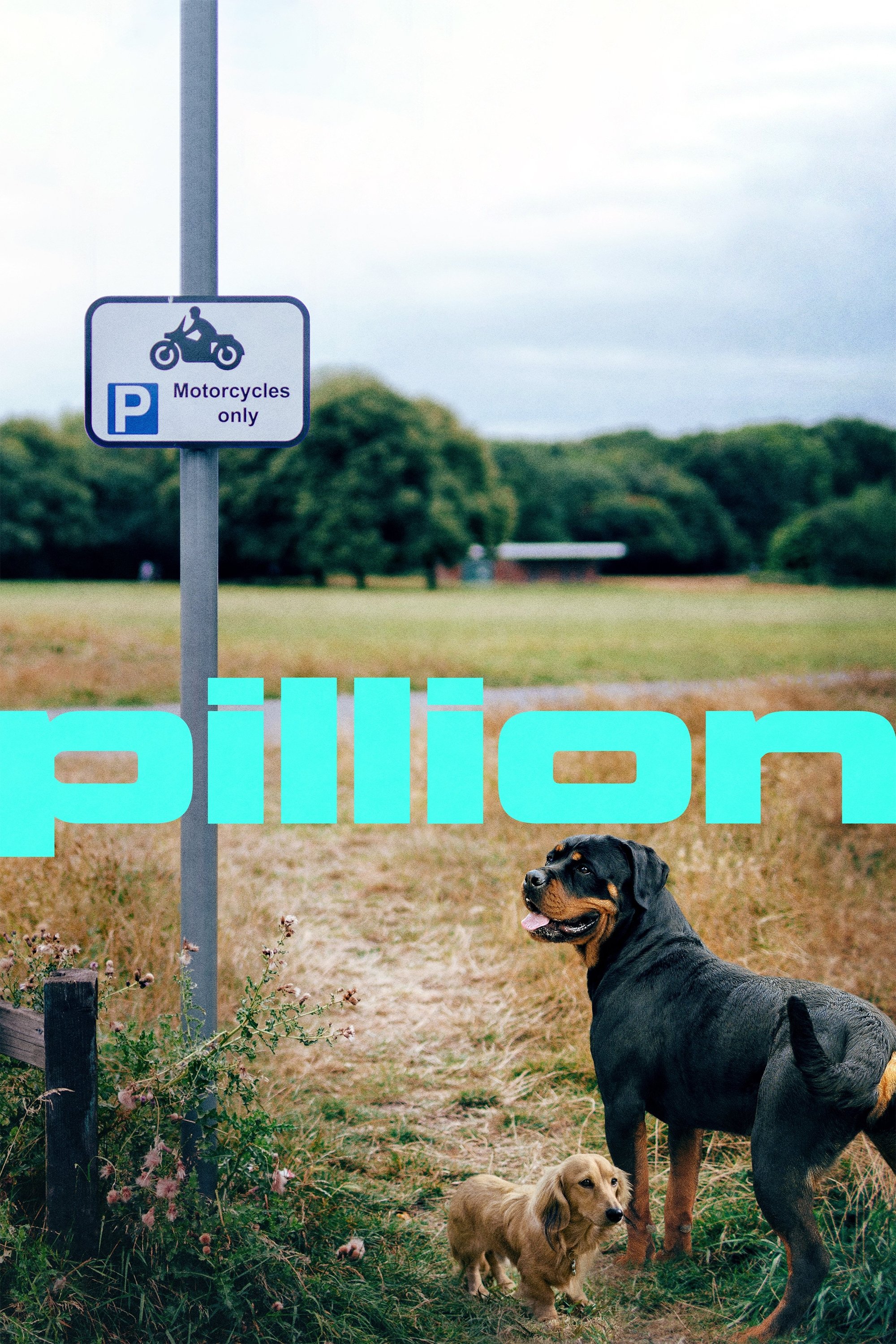 Pillion