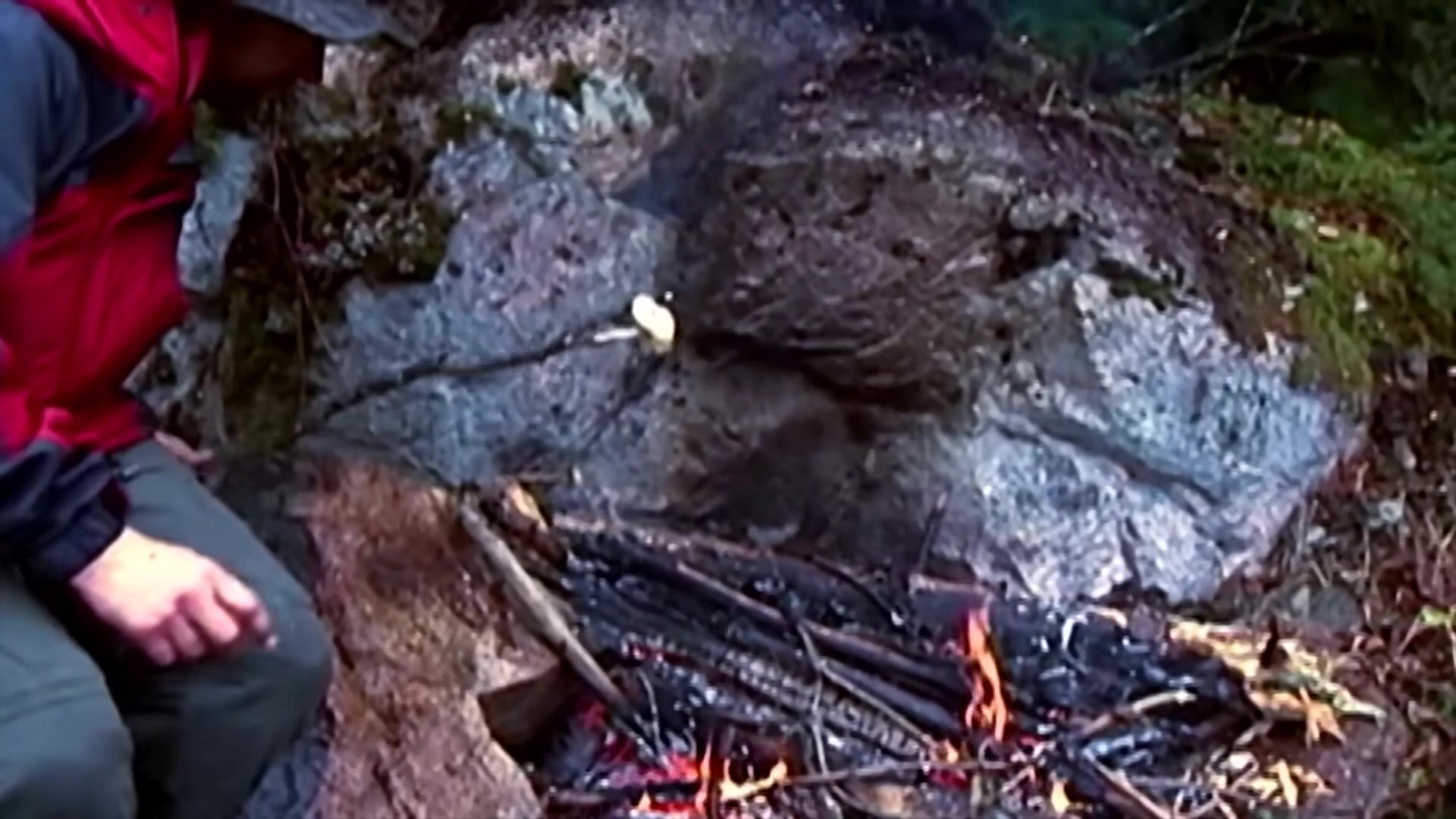 Survivorman 123movies online