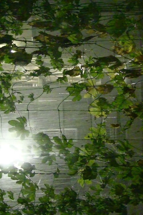 Topless Bieber Drive