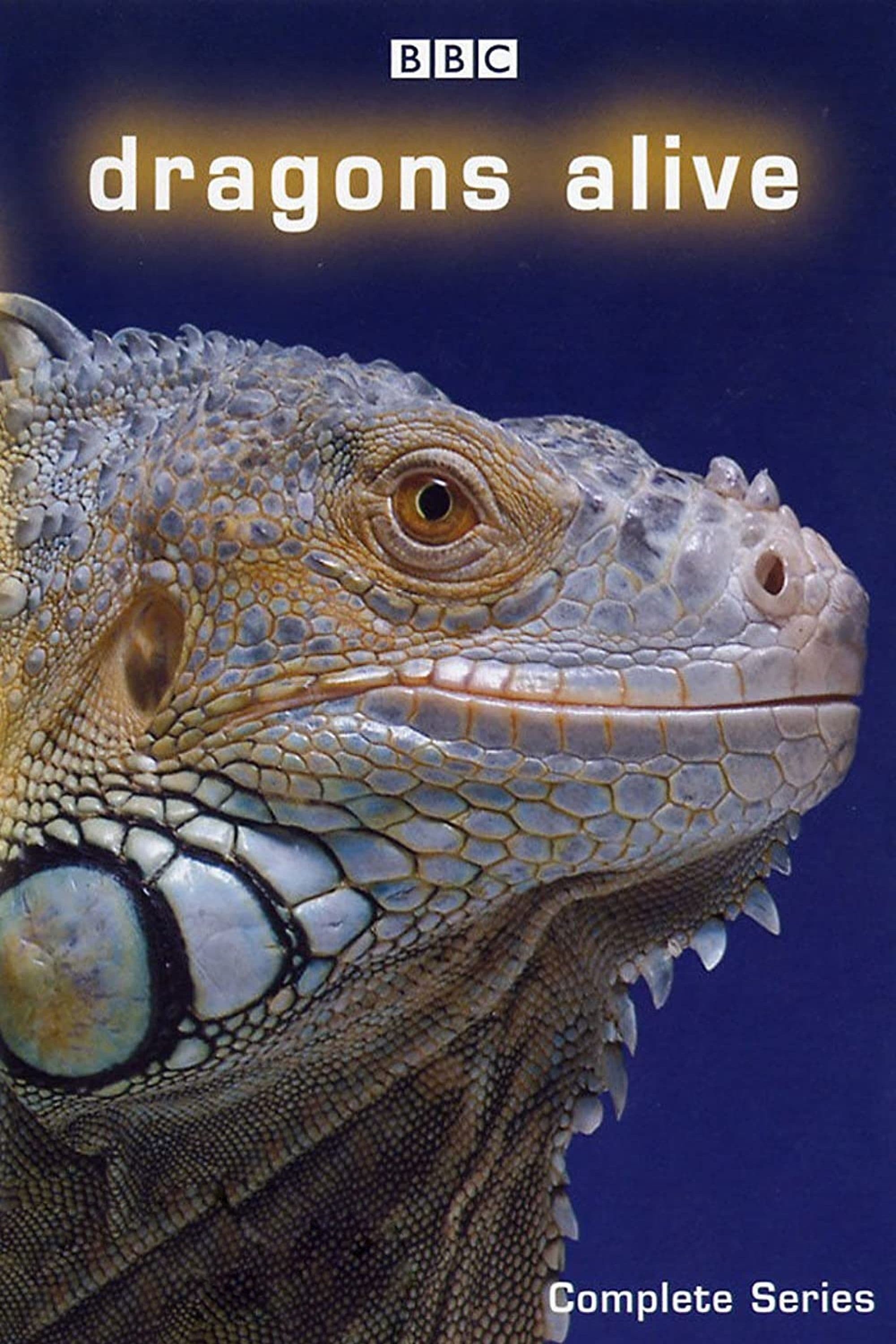 Dragons Alive - Season 1