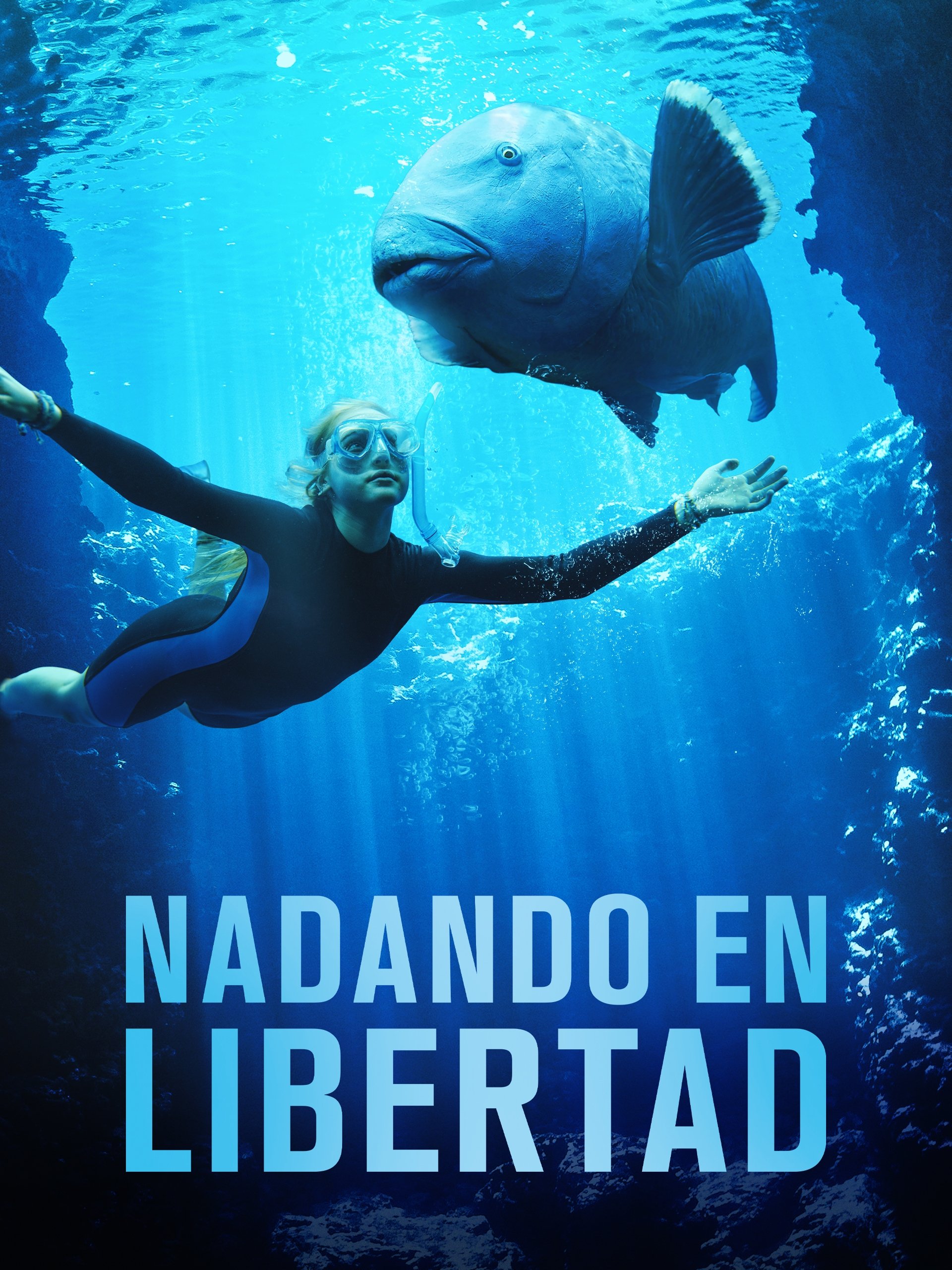 Poster 2