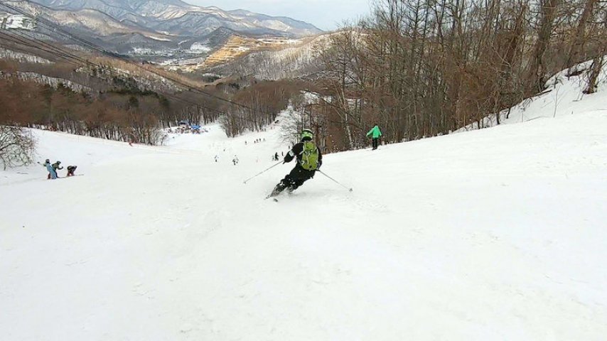 Wild Hokkaido!
