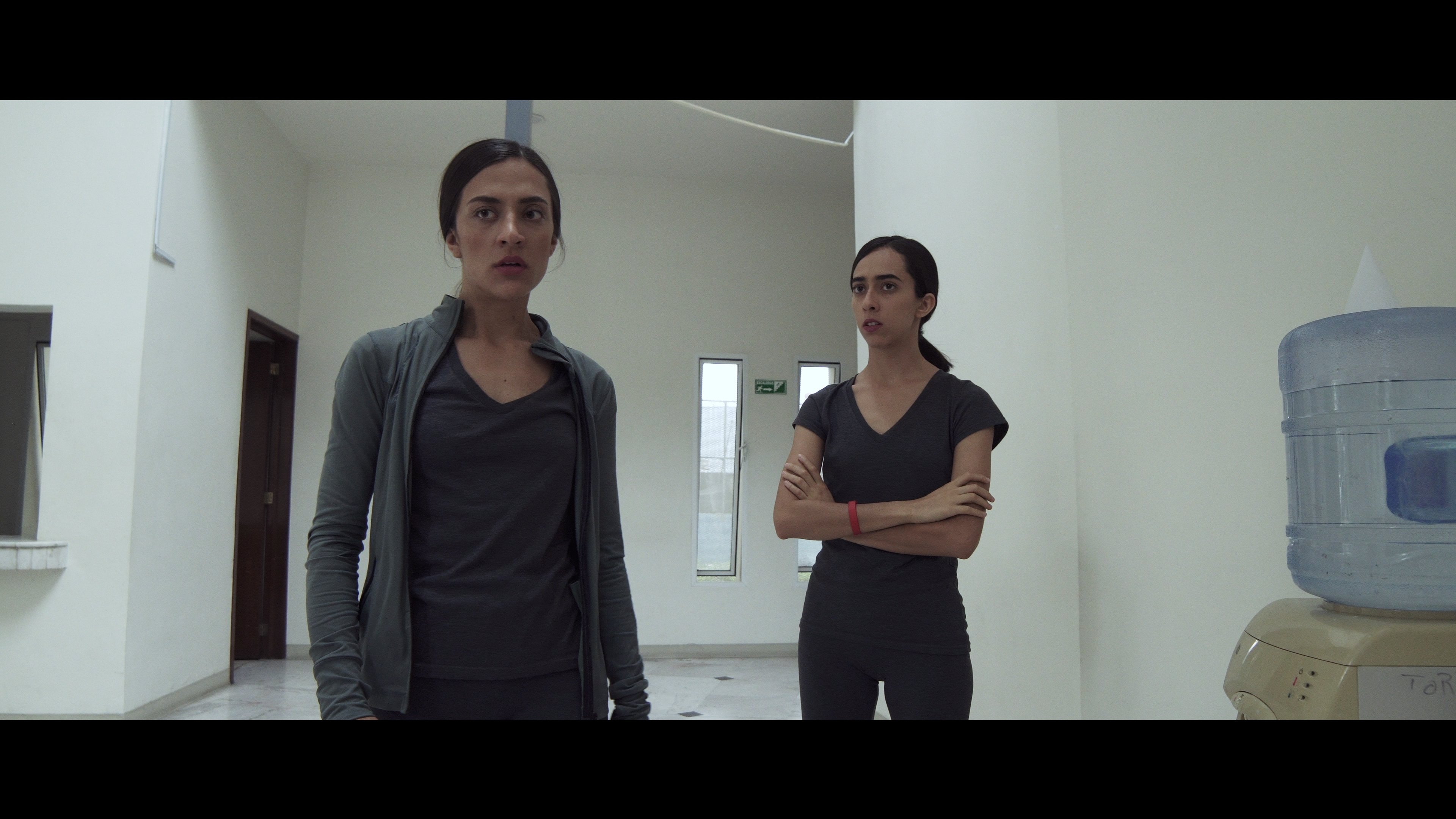 Regression (2020)