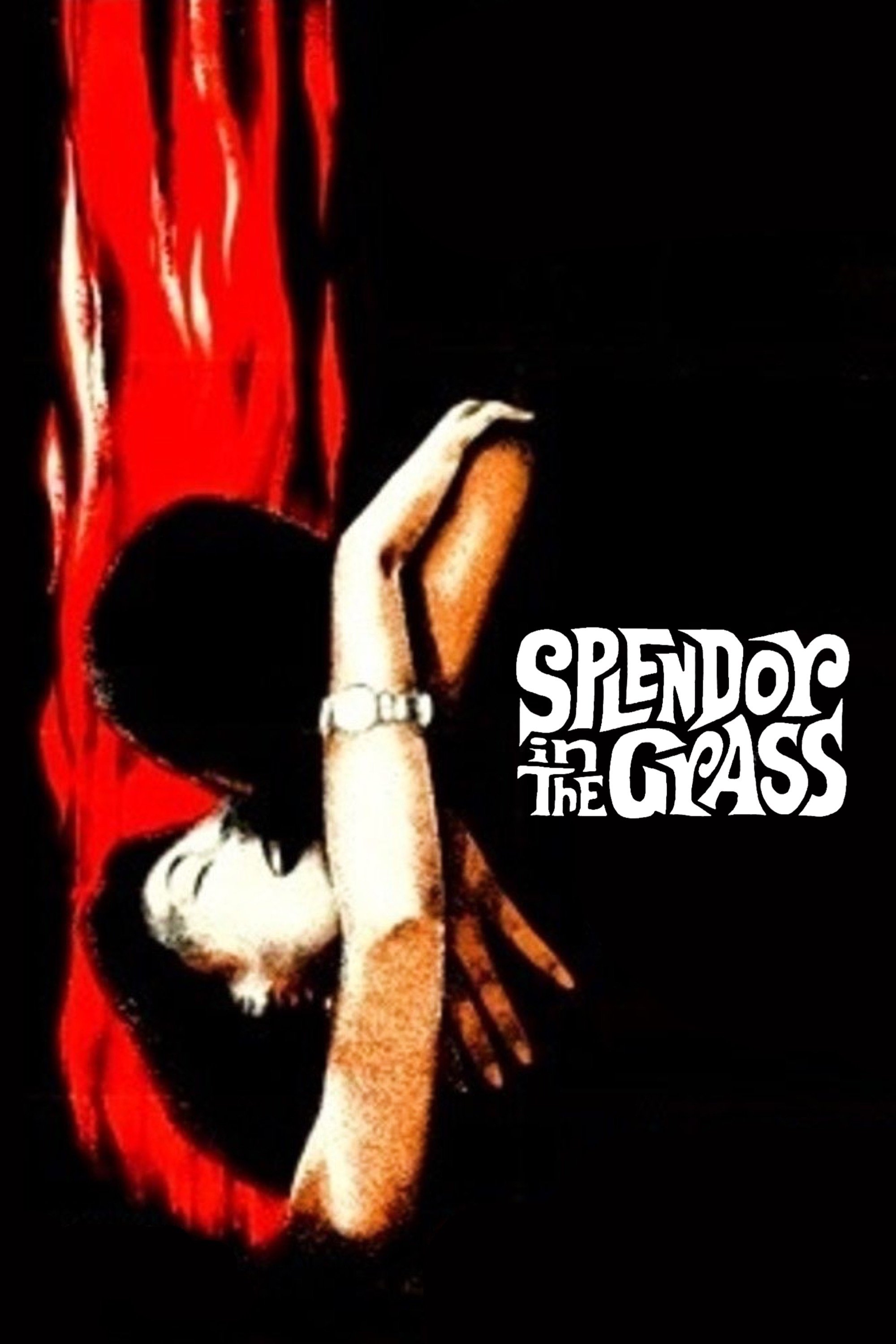 Splendor in the Grass