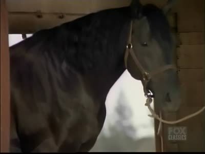 Bonanza