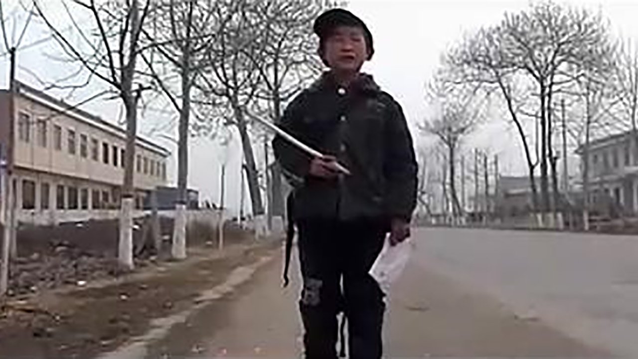 紫陀螺