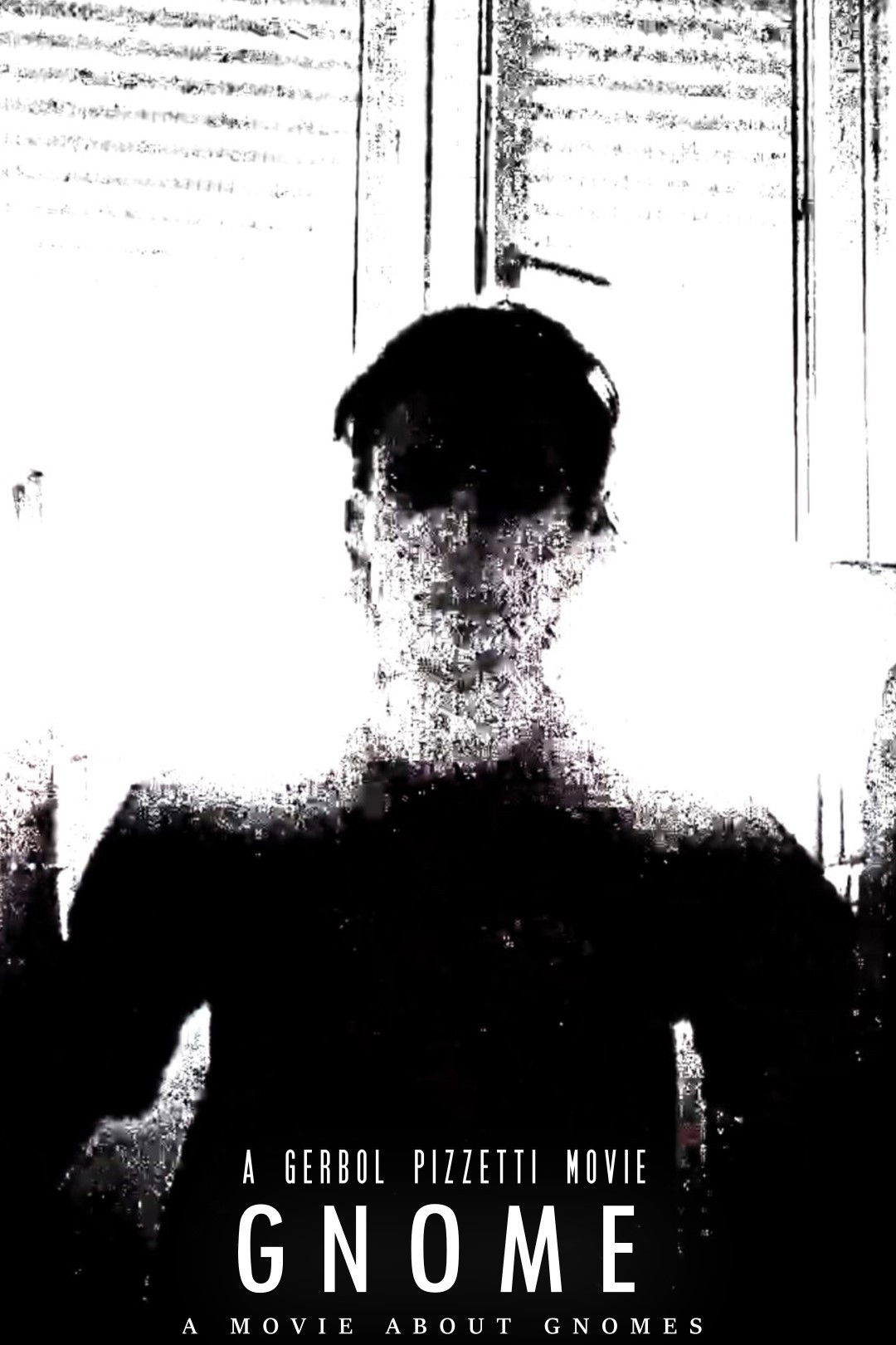 Gnome - a movie about gnomes