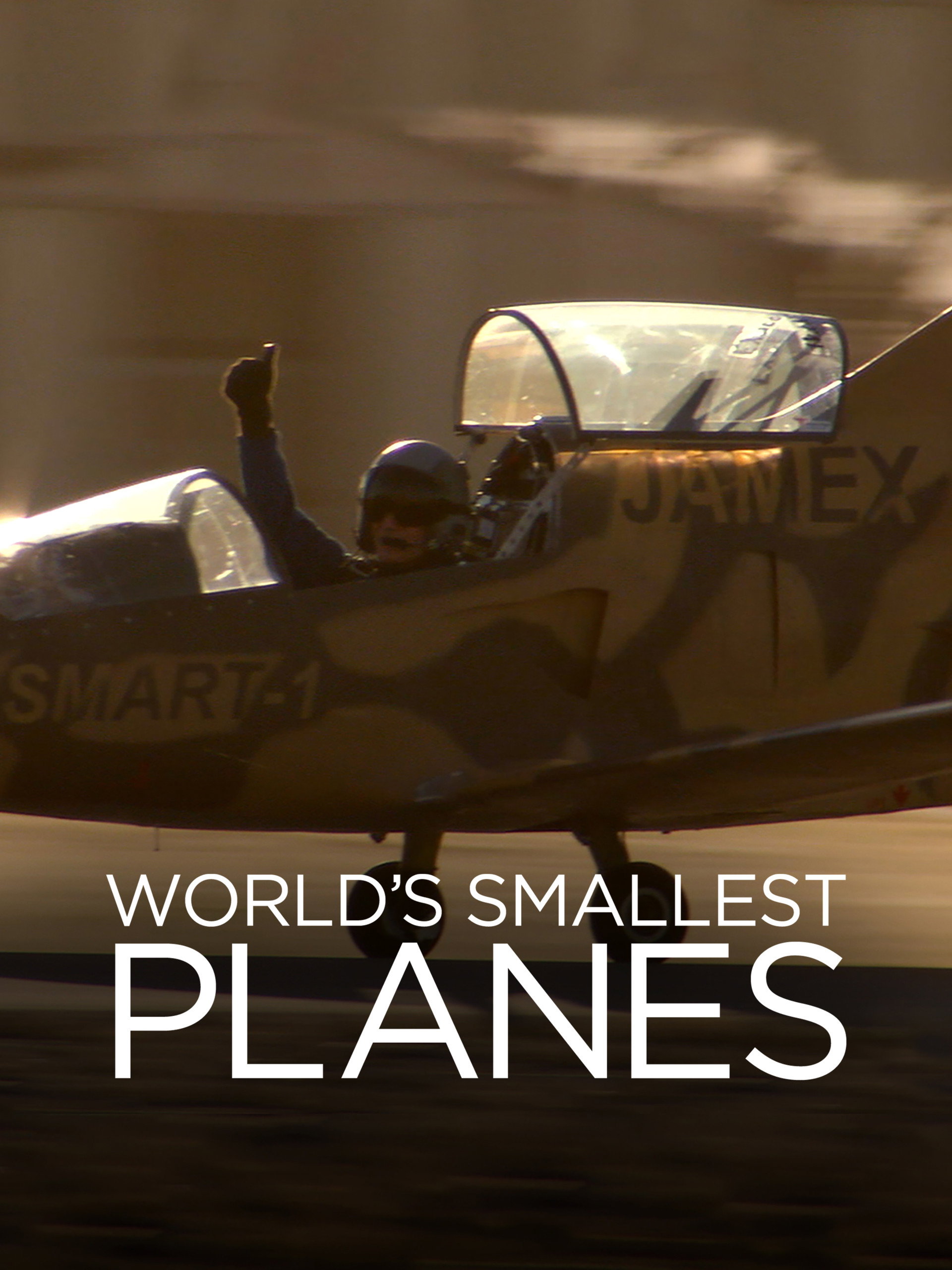 World's Smallest Planes