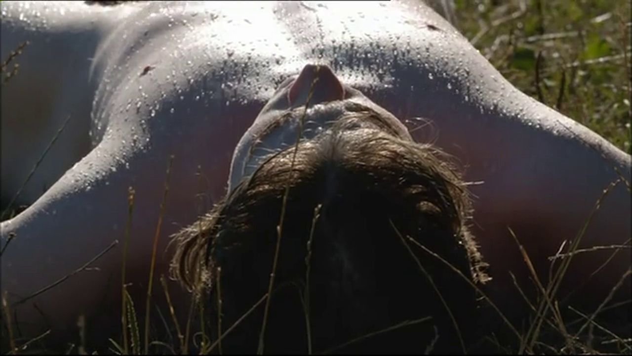 The First Summer (2015)