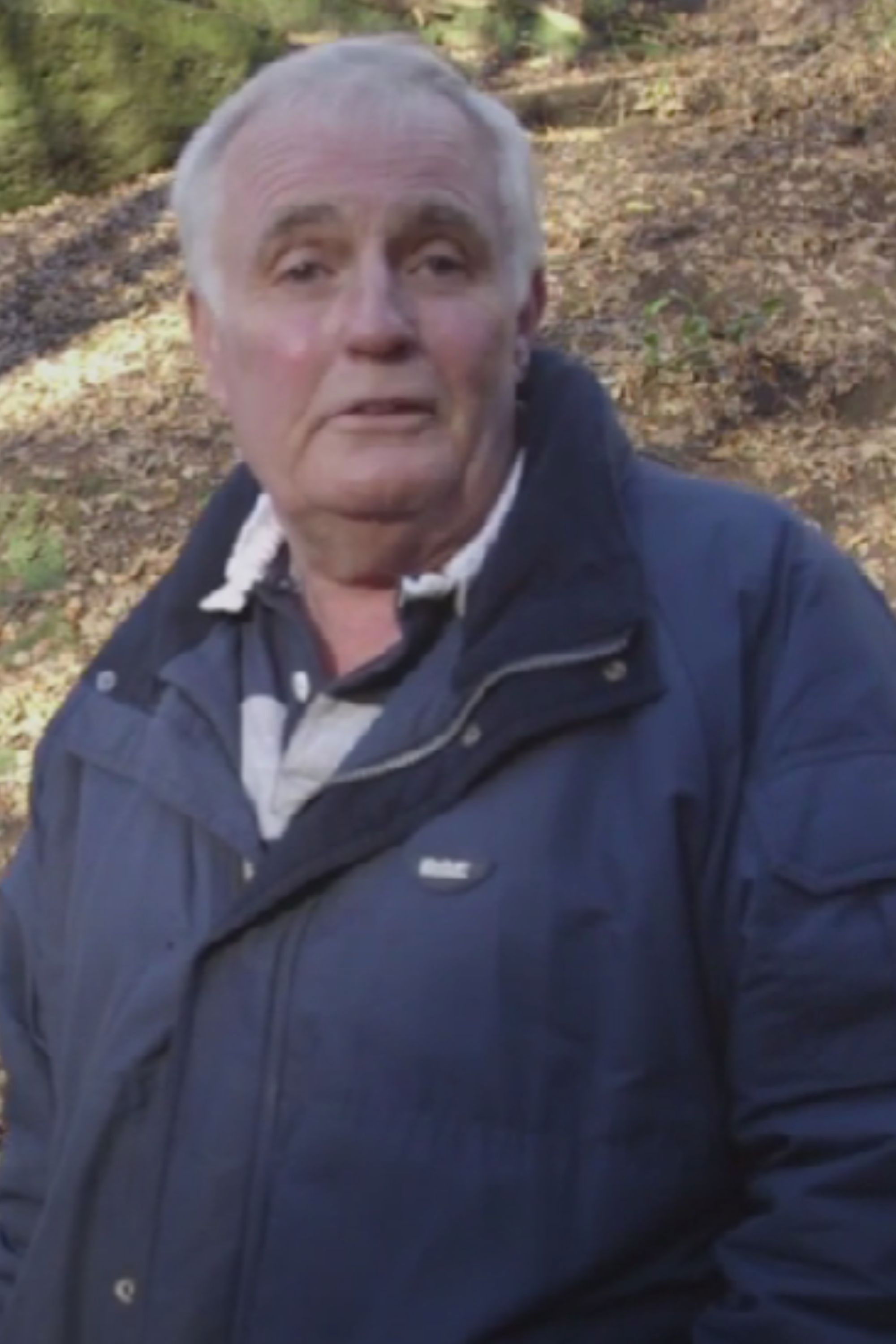 et billede af Les Davies