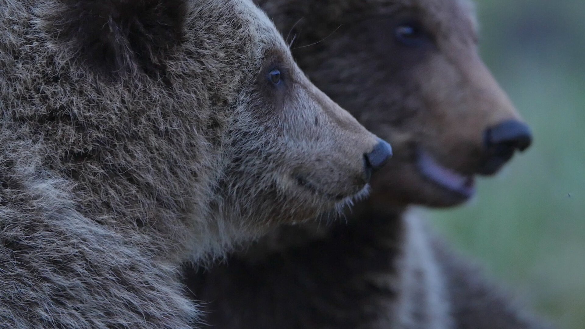 Thumbnail for Compendium of Vice Season 1 Episode 5