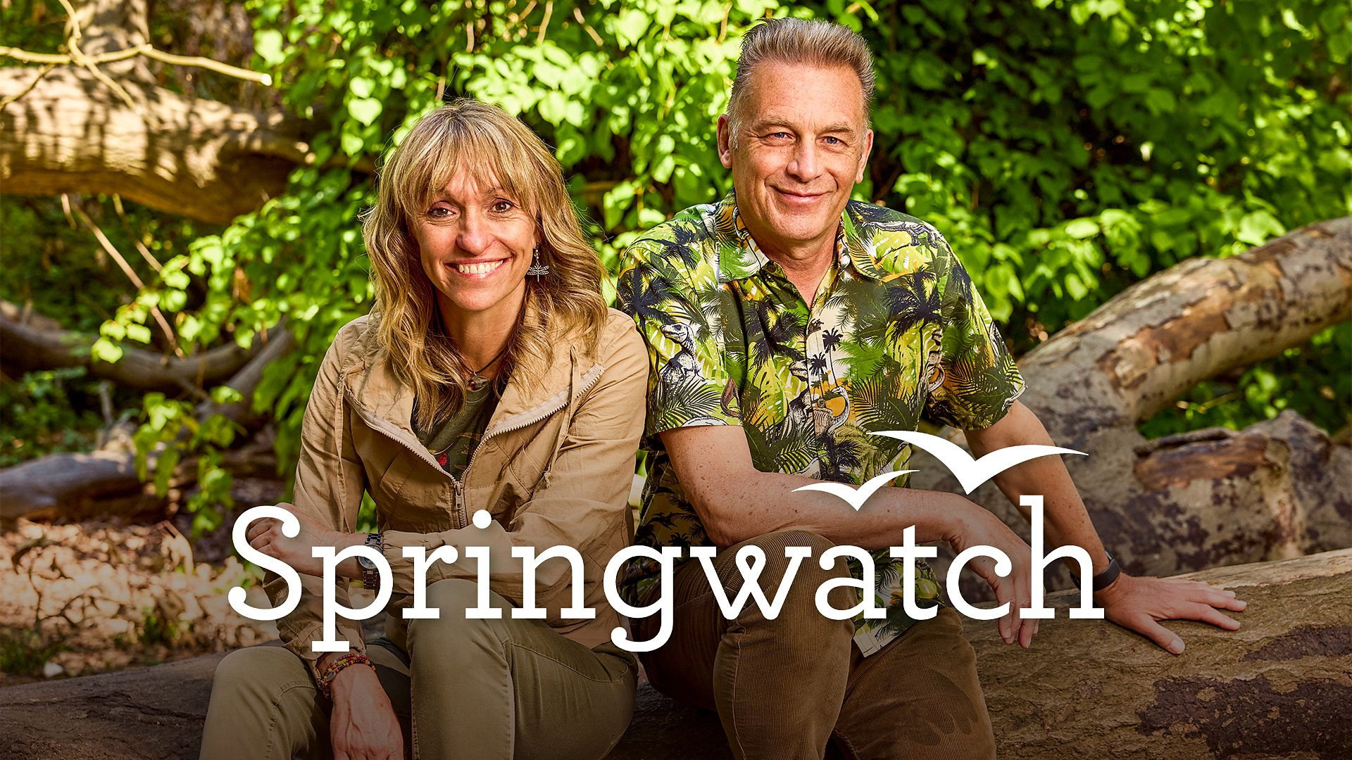Springwatch