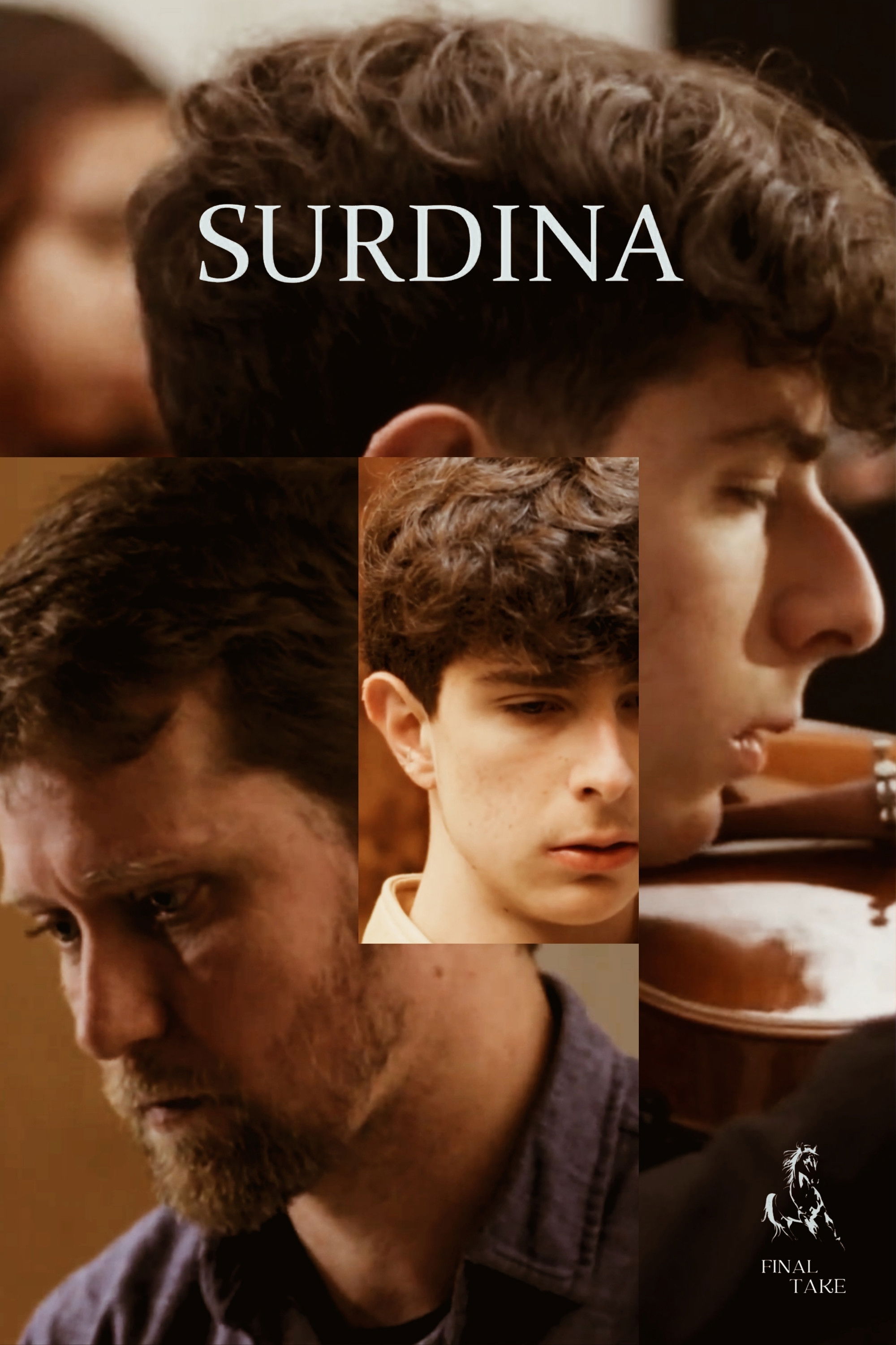 Surdina image