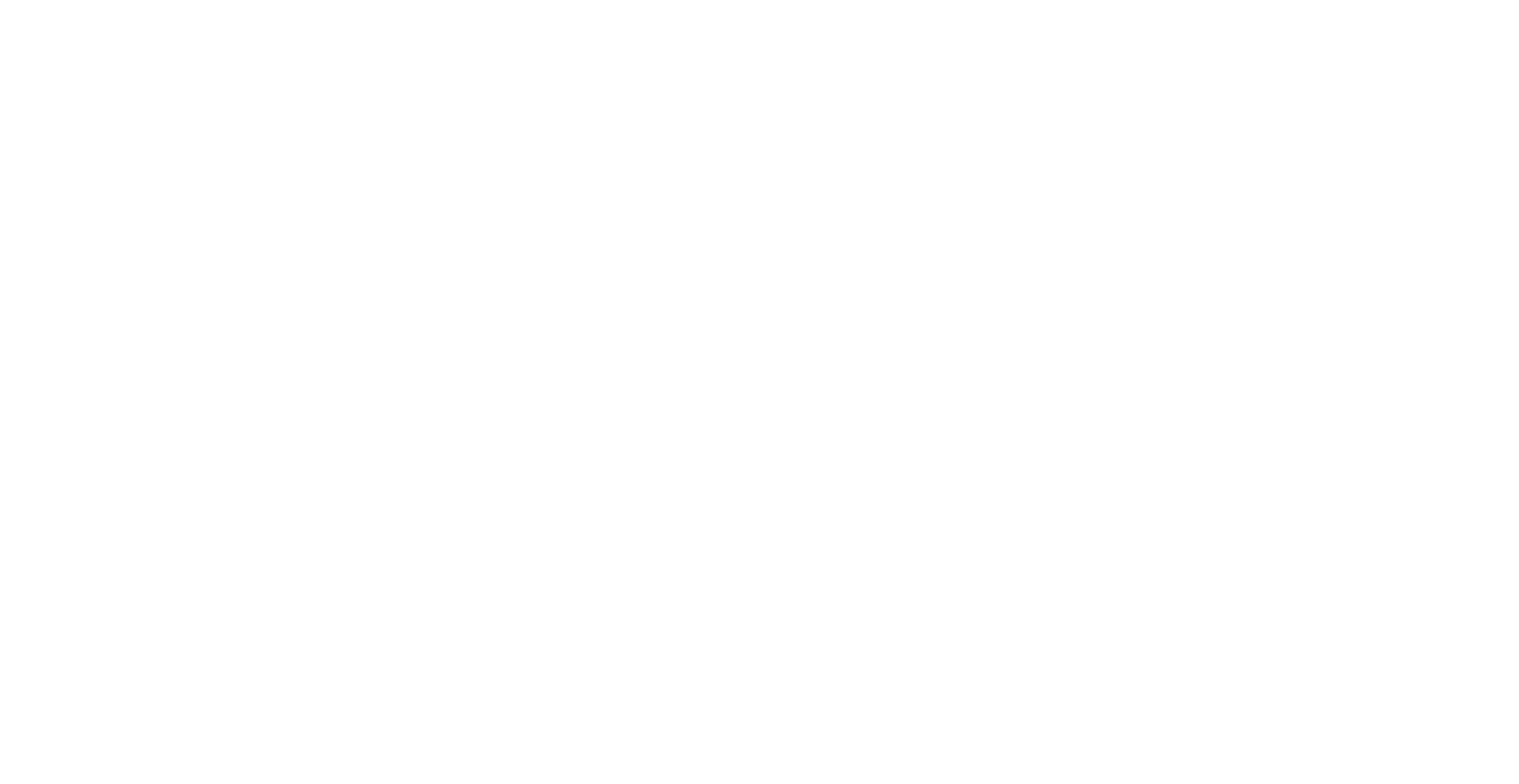 Flip the Strip Logo