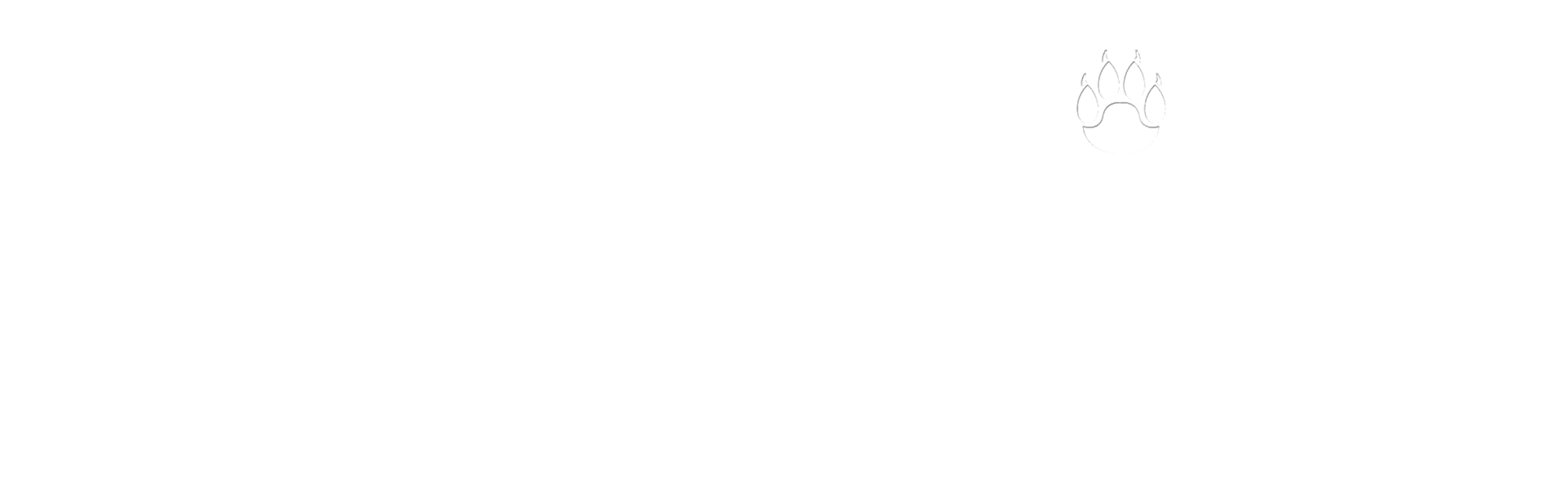 Man Among Cheetahs Logo