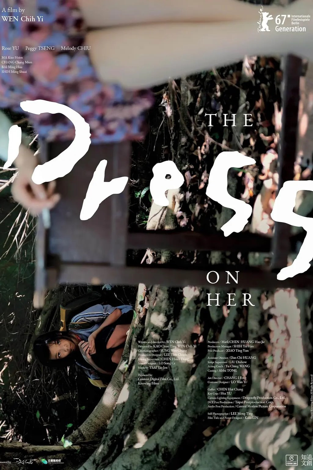 The Dress on Her (2017) movie poster