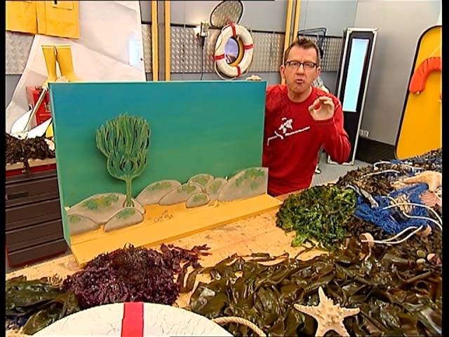 C'est pas sorcier - Les algues : une forêt sous la mer