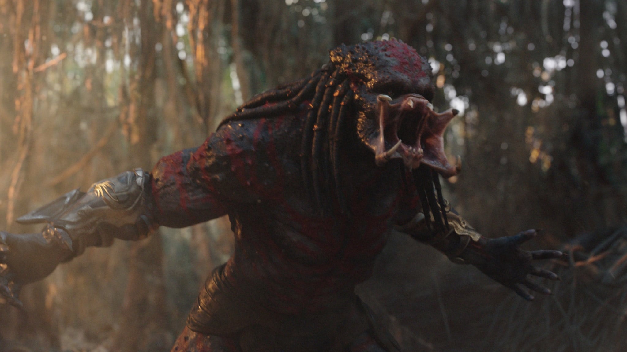 Image du film The Predator 3jryhhwaqqp2iho8bktqtlrdxl9jpg