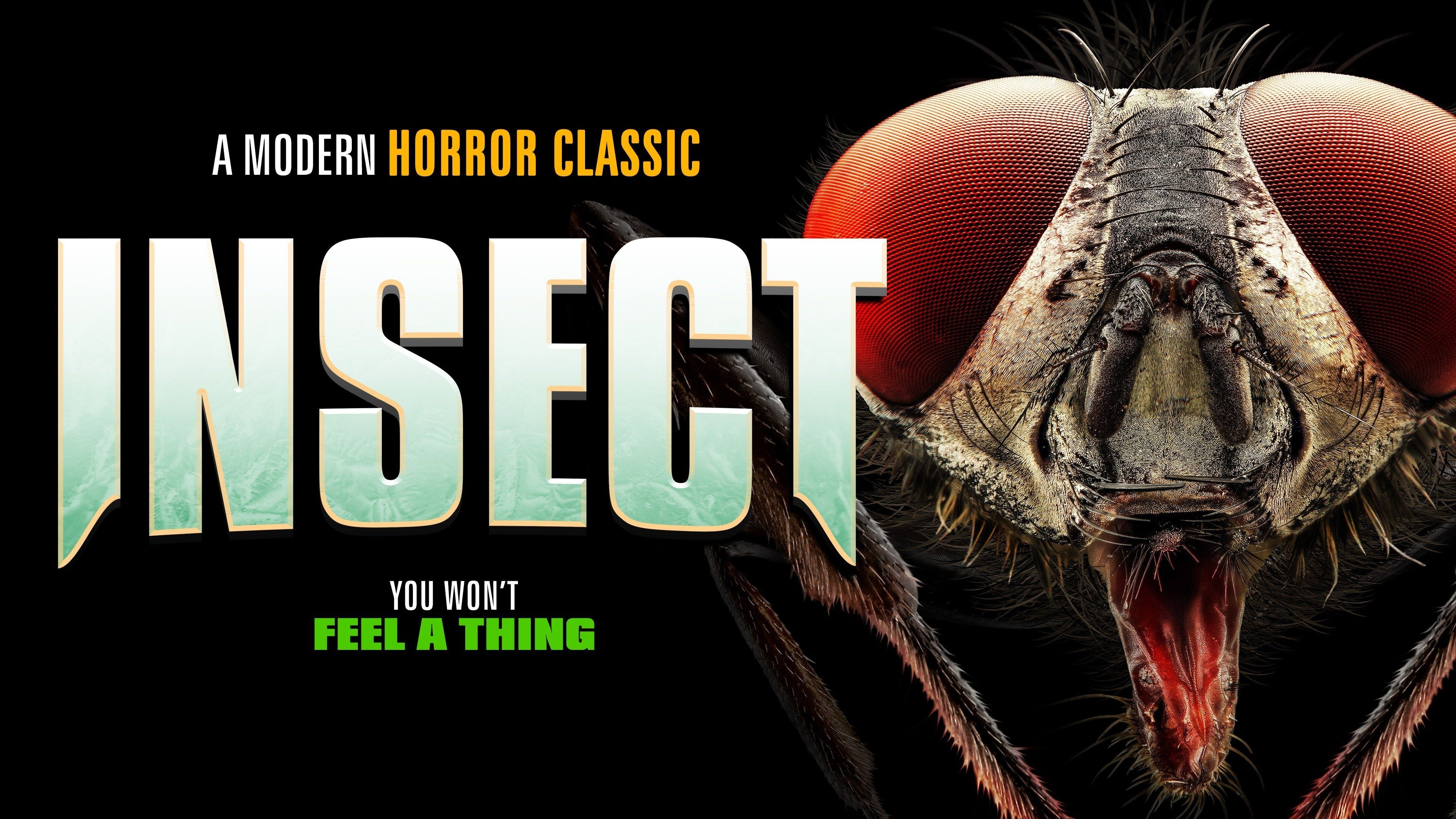 Insect (2021)