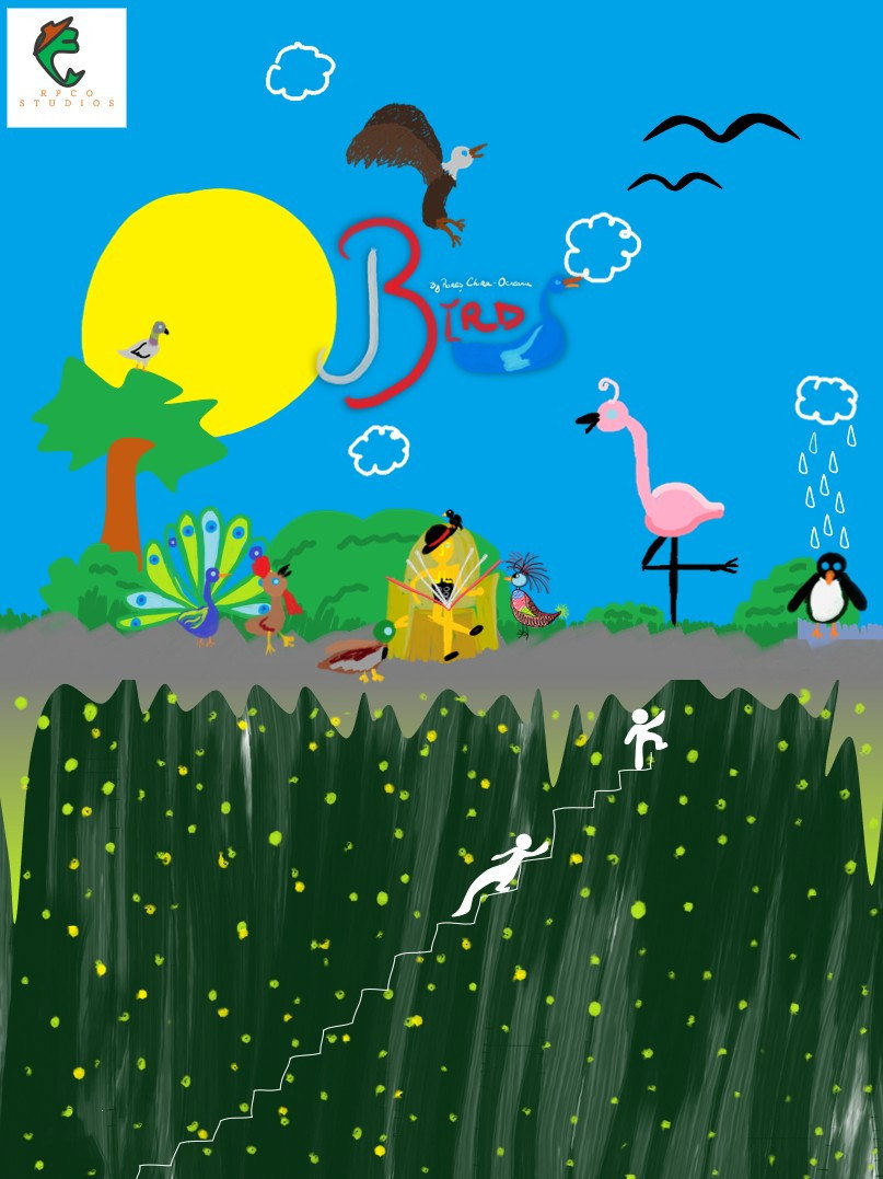 Birds by Rares Chira-Ocneanu