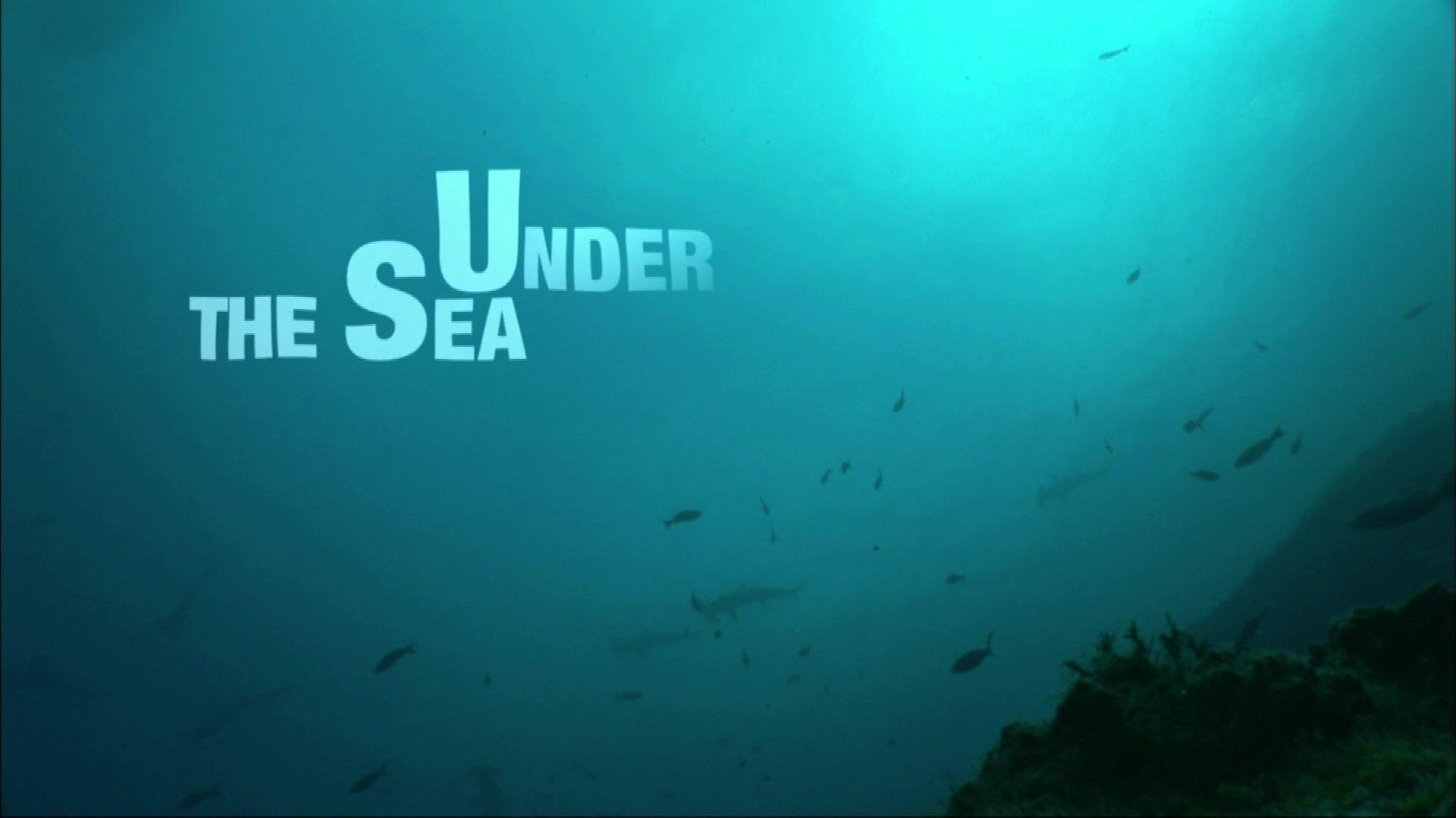 Thumbnail for Under the Sea Season 1 Episode 19