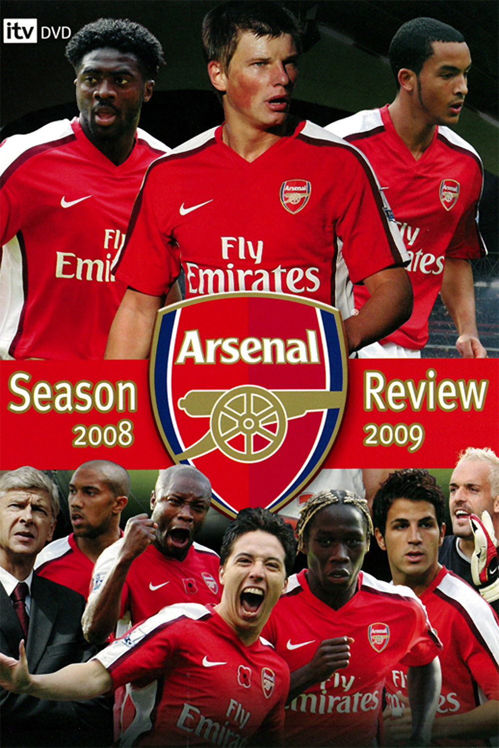Arsenal: Season Review 2008-2009 Poster