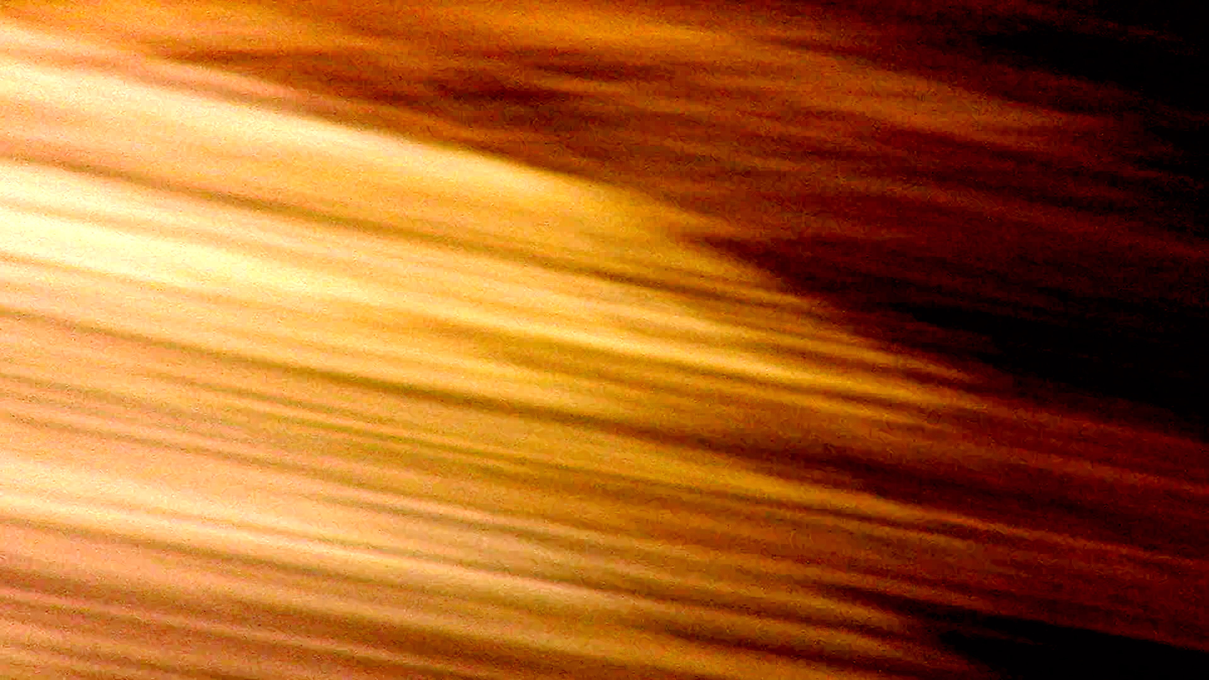 within the light; a fire