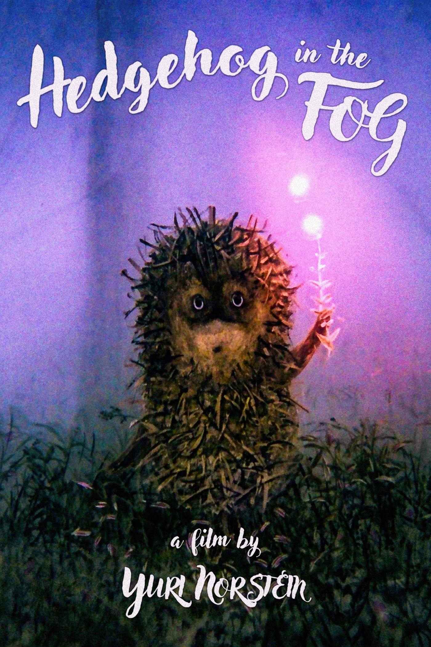 Hedgehog in the Fog