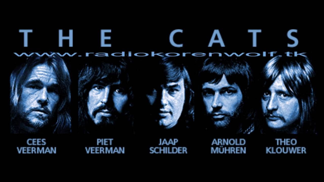 The Cats: DVD Collection