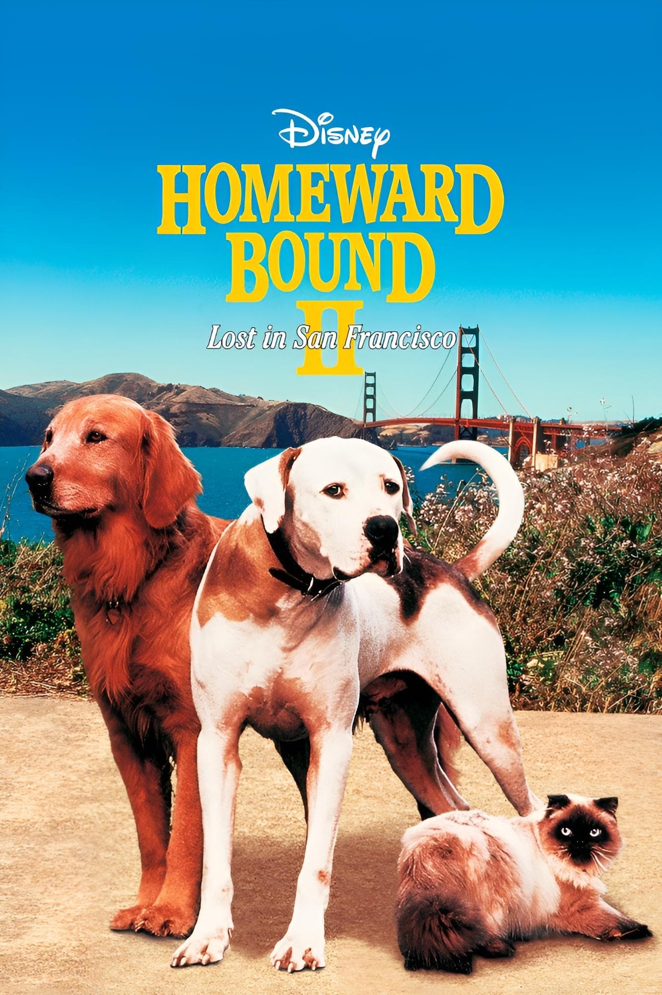 Homeward Bound II: Lost in San Francisco