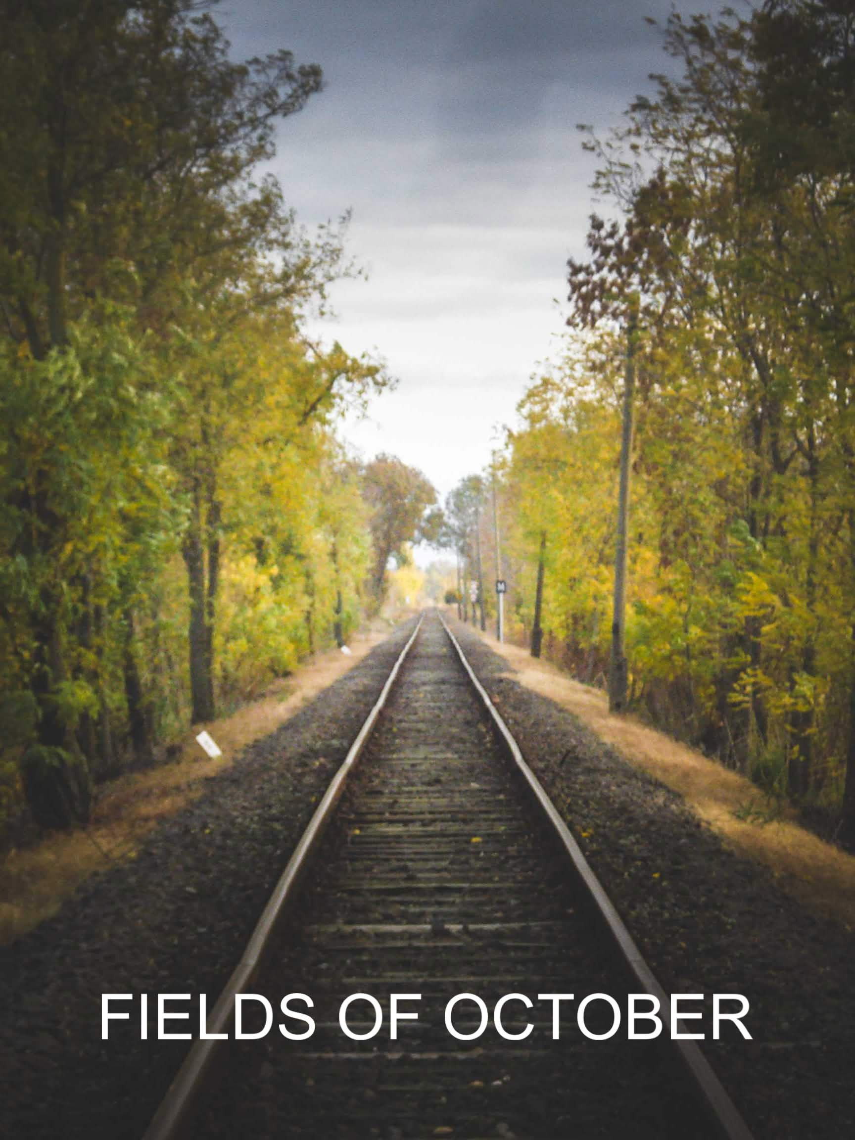 Fields of October poster