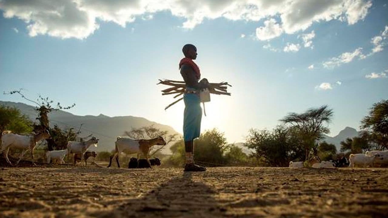 My Africa (2018)