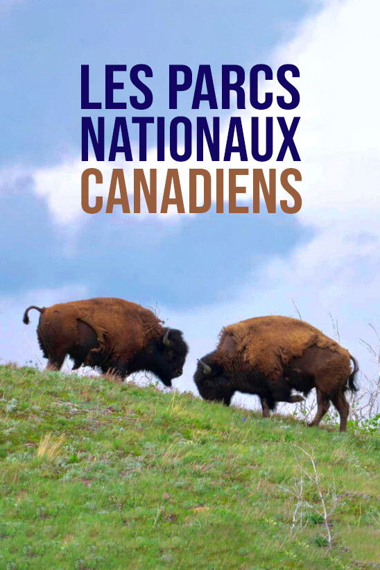 poster season Season 3 poster season Season 3