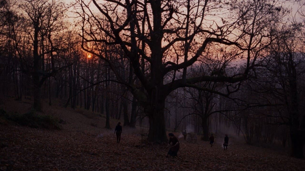 Stories from the Chestnut Woods (2019)