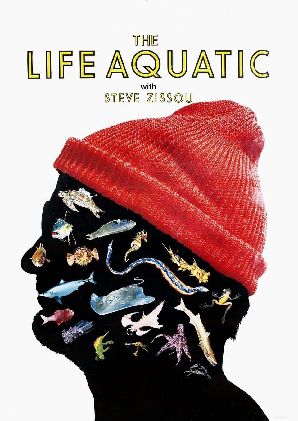 The Life Aquatic with Steve Zissou