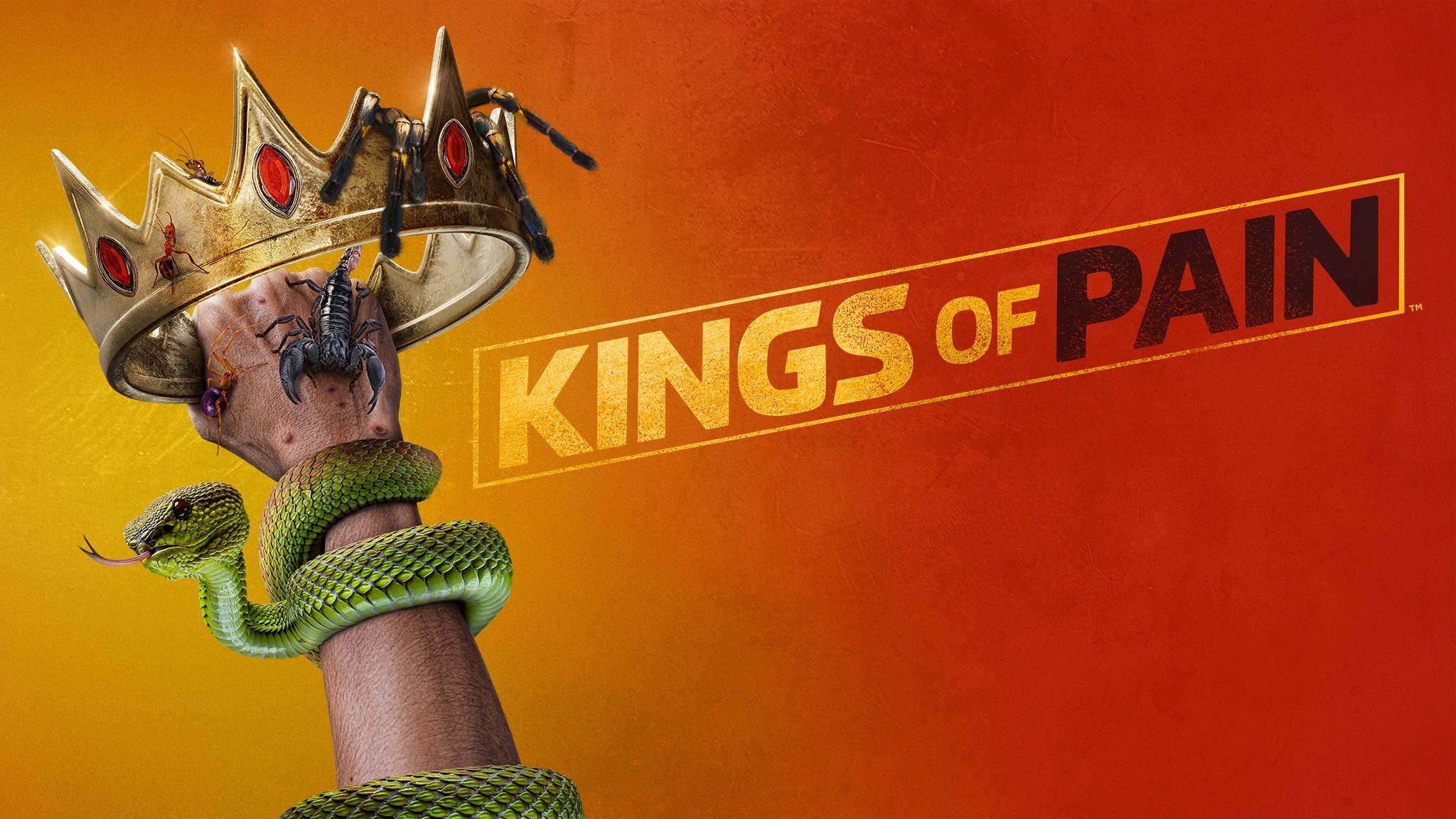 Kings of Pain
