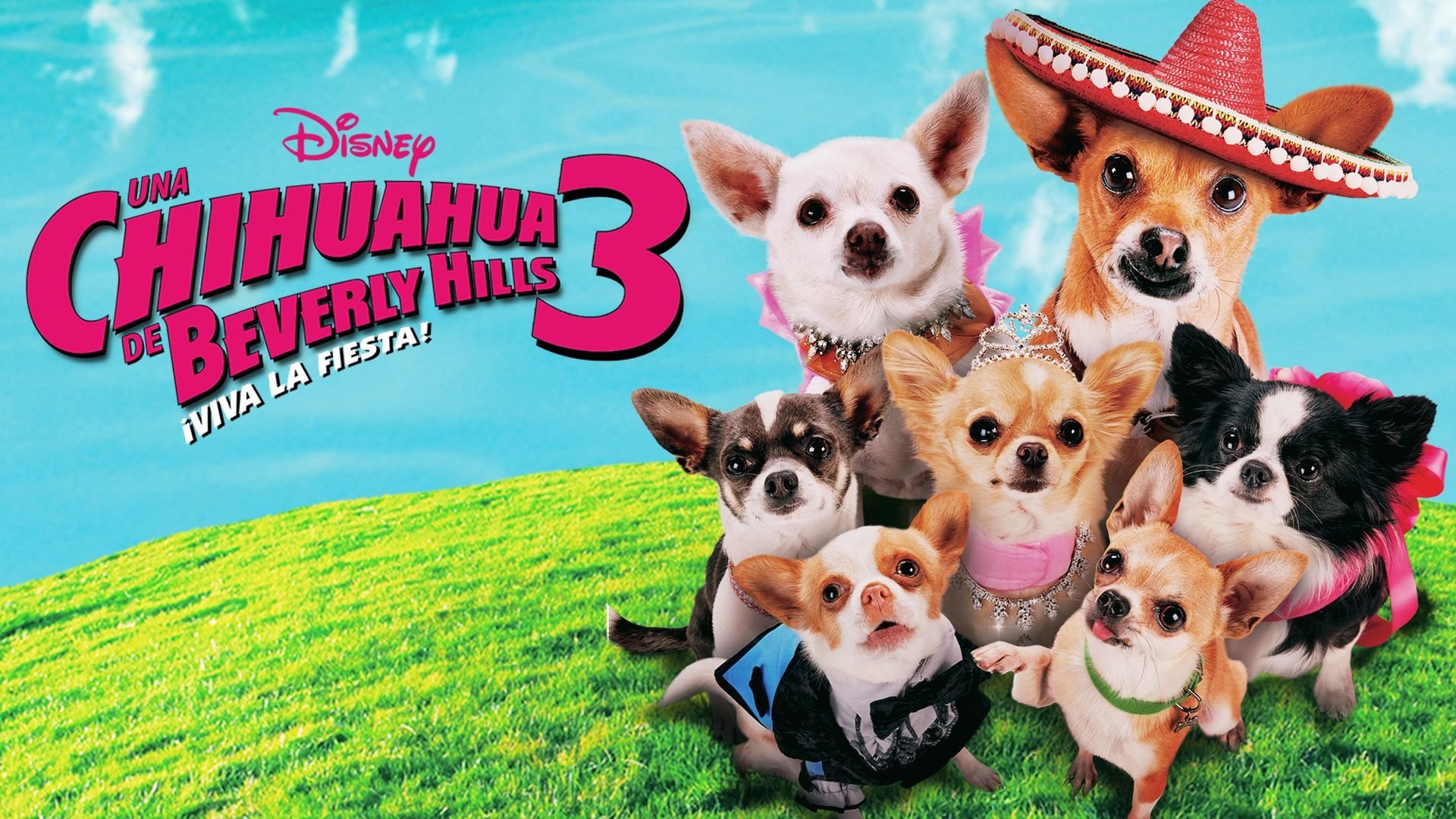 Beverly Hills Chihuahua 3 (2012)