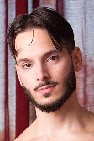 et billede af Stallion Fabio