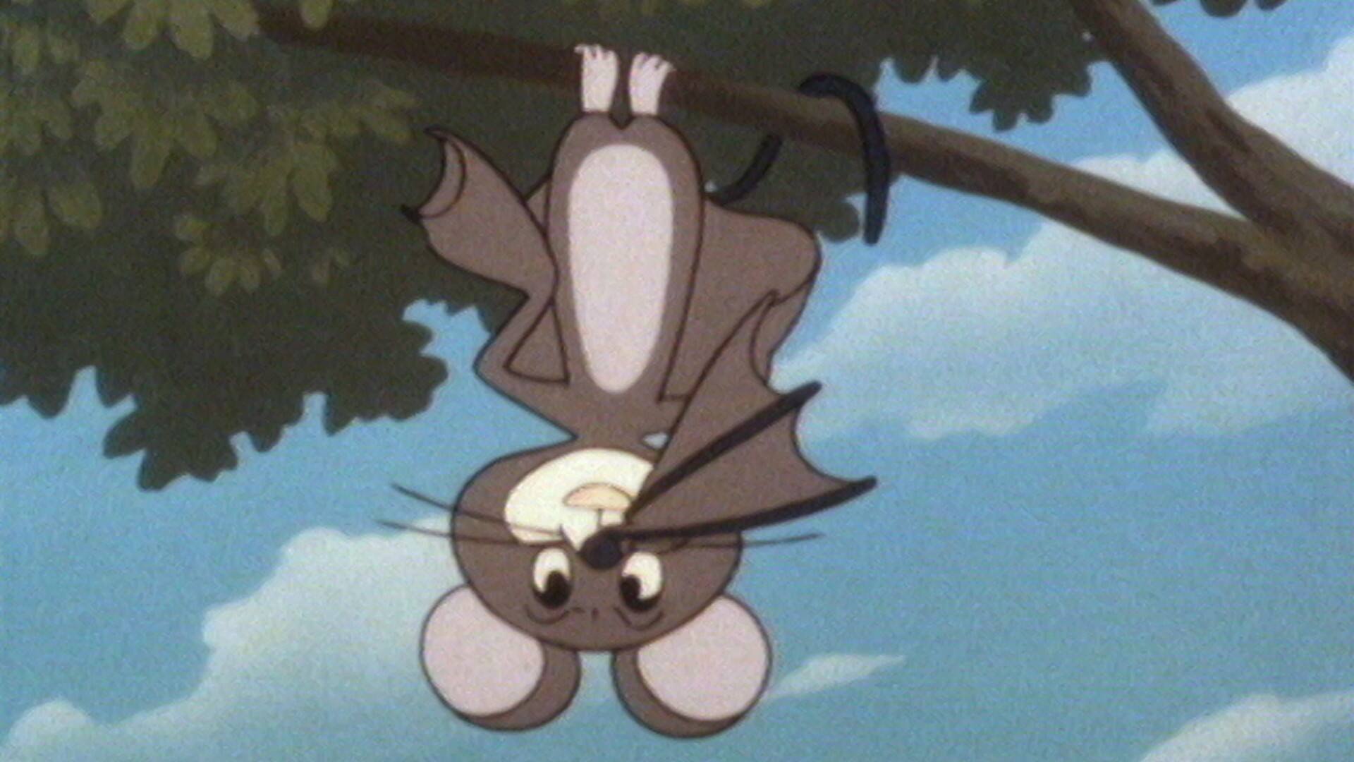 Tao Tao - La première chauve-souris