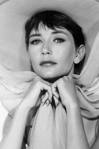 et billede af Barbara Bostock