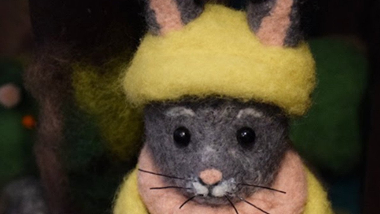 Hibernació Backdrop Blur