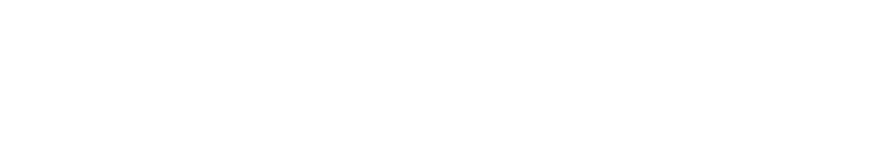 Shtisel Logo
