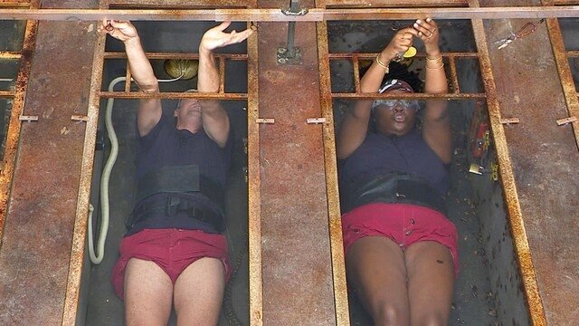 I'm a Celebrity...Get Me Out of Here!