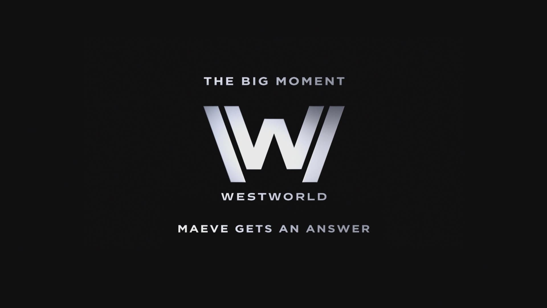 Westworld Staffel 0 :Folge 9 
