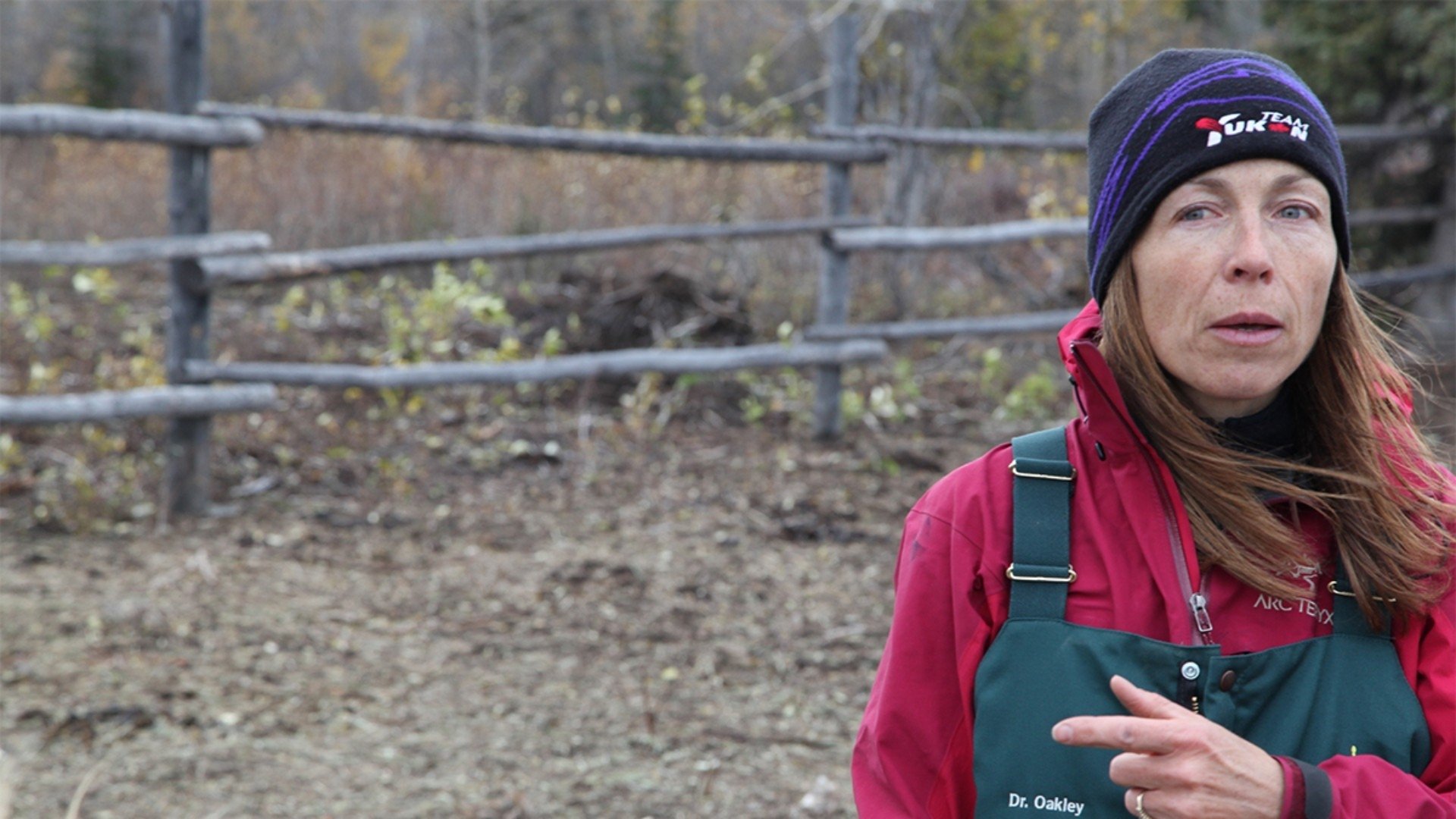 Dr. Oakley, Yukon Vet Season 1 :Episode 2 One Angry Muskox.