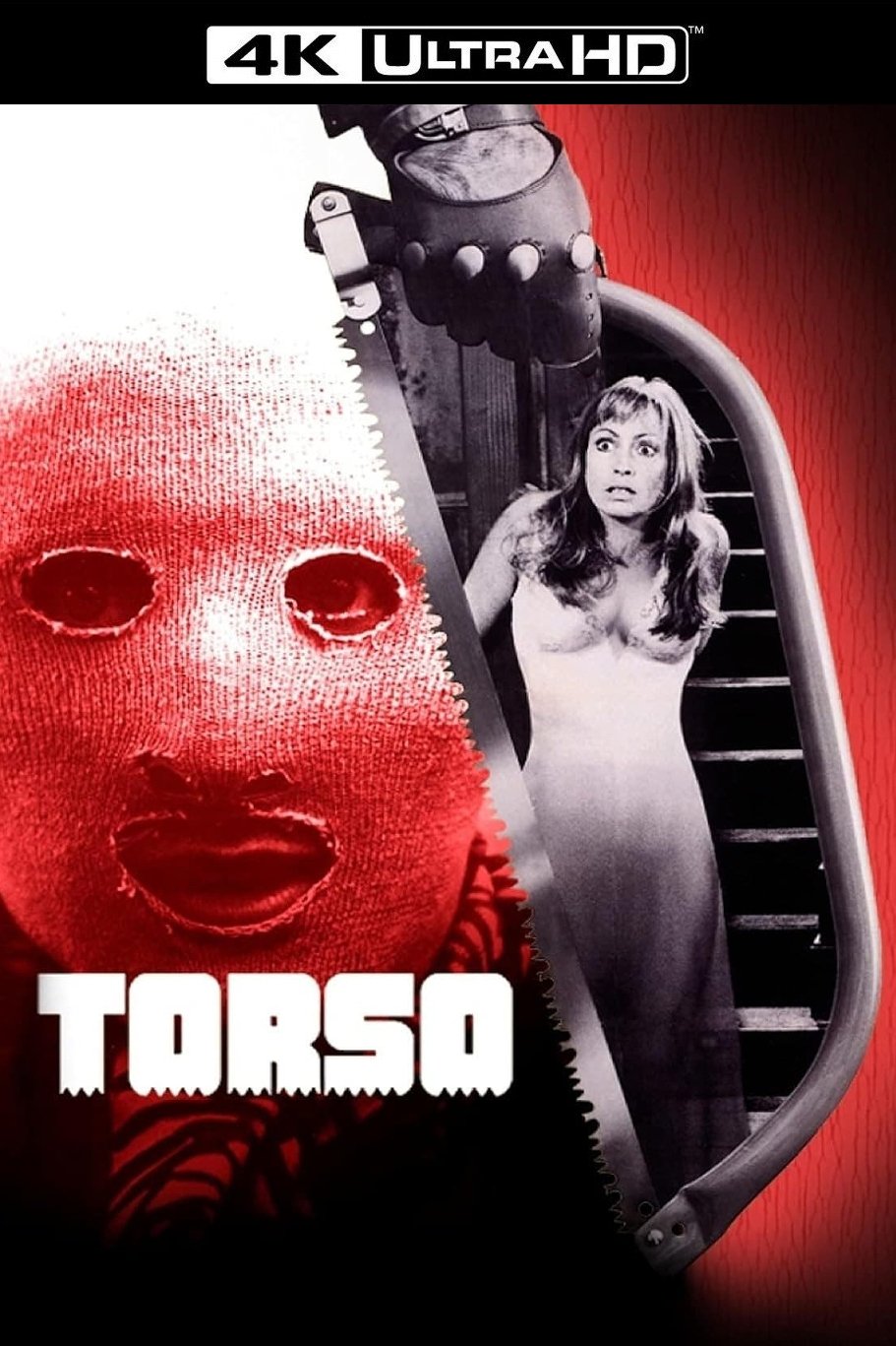 Torso