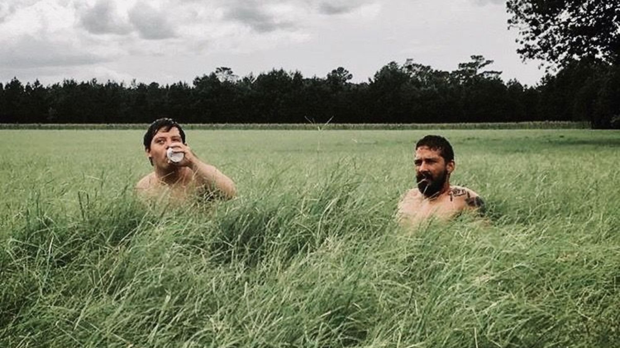 피넛 버터 팔콘 (2019)