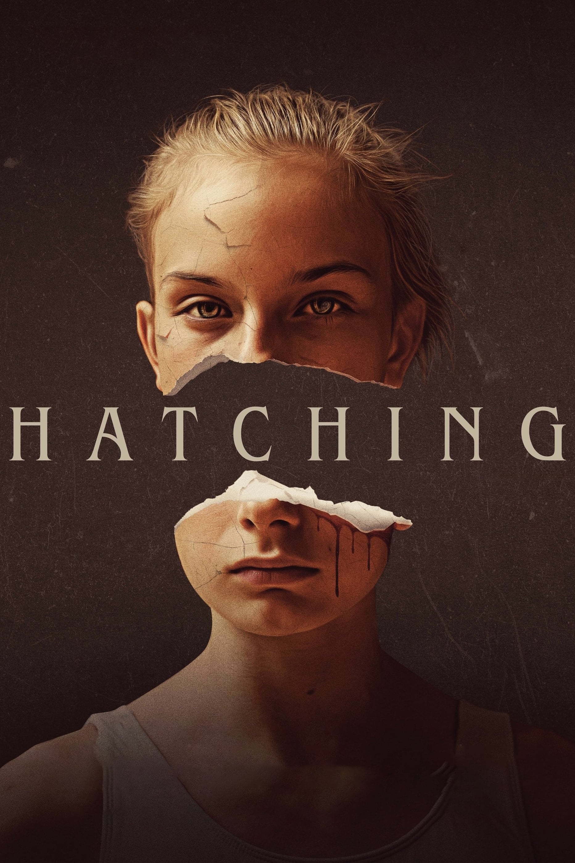 Poster and image movie Hatching
