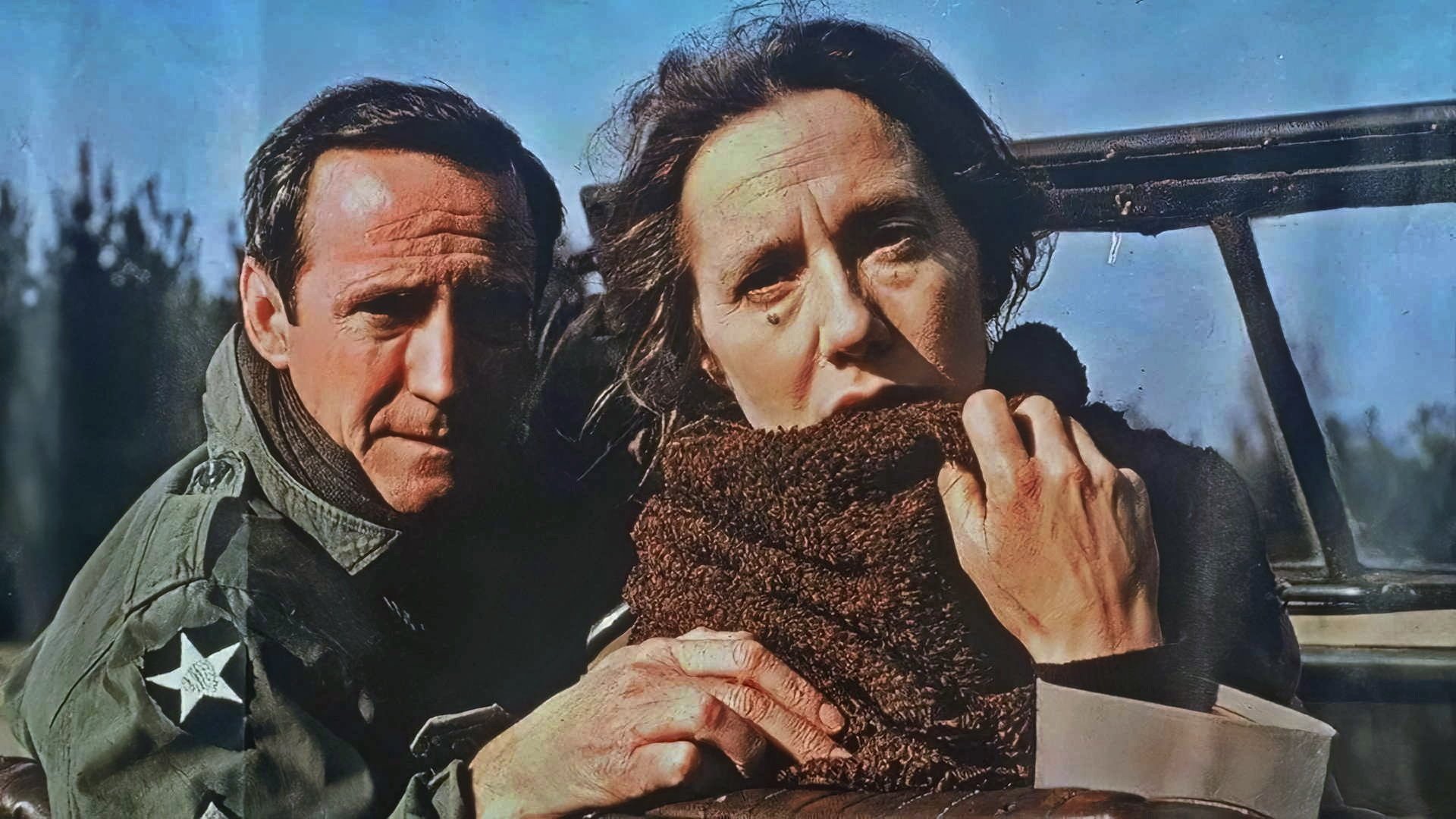 A Year of the Quiet Sun (1984)